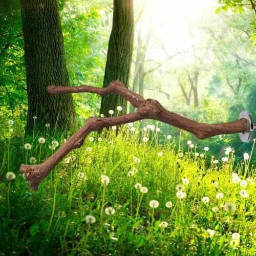 Parrot Bird Standing Pole Stick Wood Pole Bird Cockatiel Cage Perches Toy Parakeet Accessories Bite Grinding Bird Claw H5J0