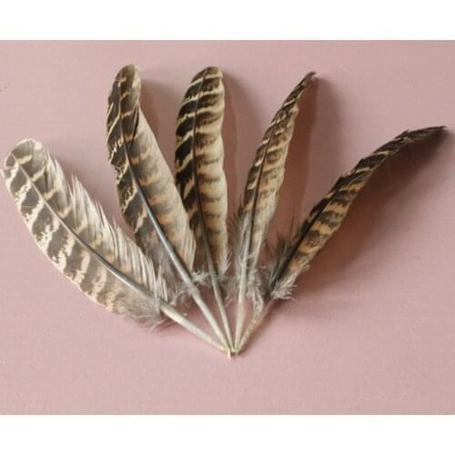 Free shipping wholesale 2600pcs high quality natural turkey feathers 12-18cm / 5-7inch variety of decorative and collect