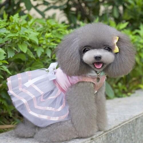 Summer Pet Princess Dress Pink Blue Red Dog Skirt Casual Pet Dress Breathable Stripes Wedding Dresses 2021 Fashion Pet Clothes