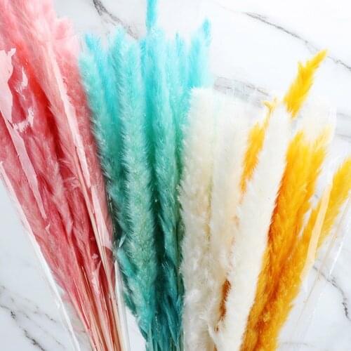 25pc natural dried flowers rabbit tail grass home wedding decoration small pampas grassland artificial pampas grass reed bouquet