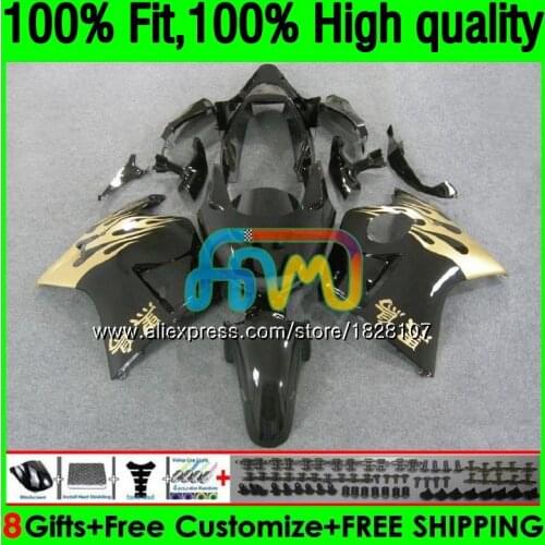Blackbird For HONDA CBR1100 XX CBR1100XX 96 97 98 99 00 01 131BS.18 CBR 1100XX 1996 1997 1998 1999 2000 2001 Fairing Gold flames
