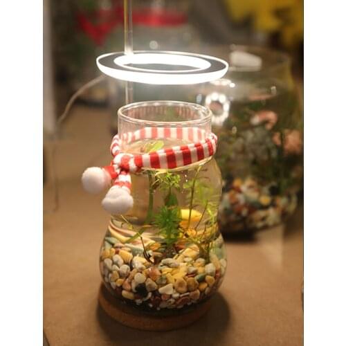 LED Grow Light Full Spectrum Phyto Lamp USB Phyto lamp For Plants 5V Lamp For Plants Growth Lighting For Indoor Plant Light