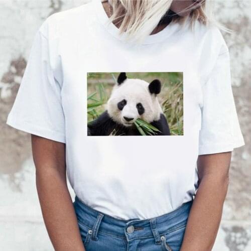 Panda Zoo Printing Women T shirt Summer Short Sleeve O-neck Women Tops Tshirt Casual Tees Lady Aesthetic