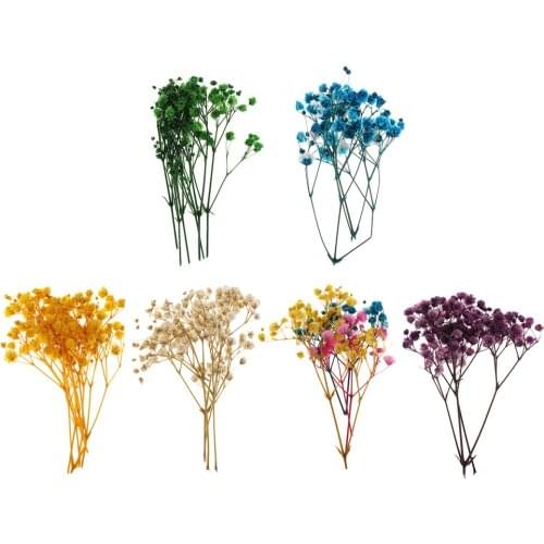 Dyed Natural Pressed Dried Flowers Leaf For Resin Jewelry Pendant Bracelet Phone Case Arts&Crafts DIY Bookmark Art Floral Decor