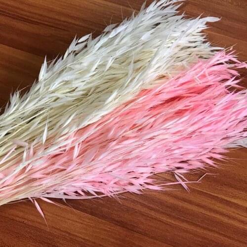 About 70PCS/35CM Dried Natural Plant Oats Branch,Real Dry Eternal Ears of Wheat Flower Bouquet For Home Decor,Wedding Decoration