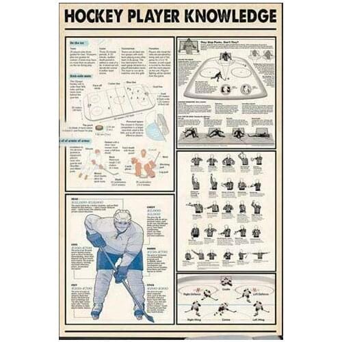 Metal Sign Hockey Player Knowledge Tin Signs New Year Easter Wall Bar Pub Family Cafe Signs Men Cave Best Gifts for Friends