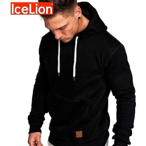 IceLion Men's Sweatshirts