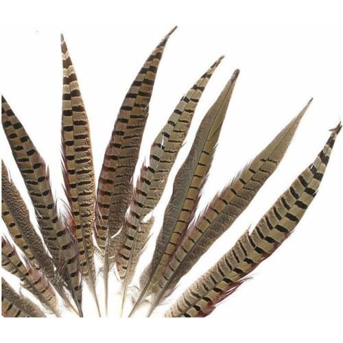 10 x pheasant tail feather gold pheasant feather handicrafts Indian feathers feather headdress