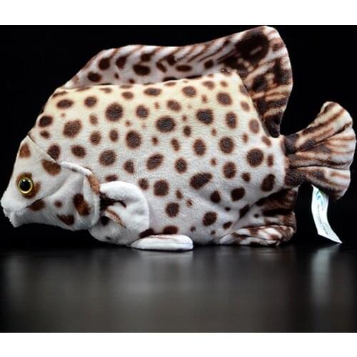 Cute Tropical Fish Brown Scatophagus Argus Ornatus Marine Life Spotted Scat Simulation Sea Animal Plush Toy Kids Gift Collection