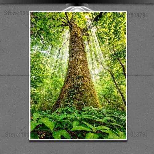 5d Diy Diamond Painting Light tree Cross Stitch Rhinestones Diamond embroidery Accessories Needlework Diamond mosaic