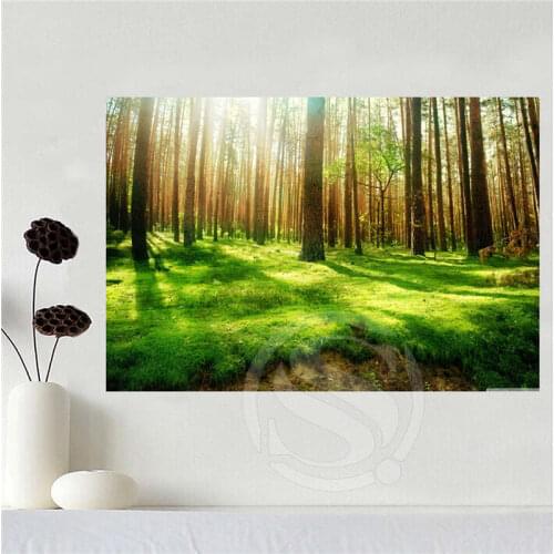 Hot Custom canvas The quiet forest poster home decoration cloth fabric wall poster print Silk Fabric Print SQ0619-uyk554