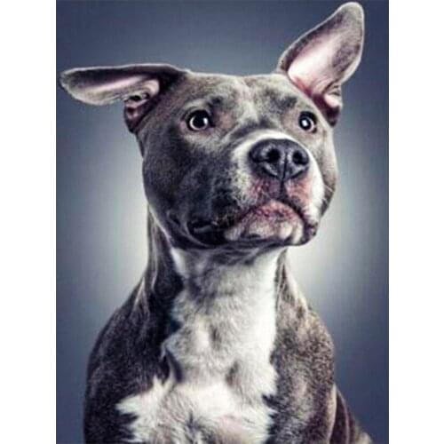 DIY 5D Diamond Painting Animal Dog Cross Stitch Kit Full Drill Embroidery Mosaic Art Picture of Rhinestones Home Decoration Gift