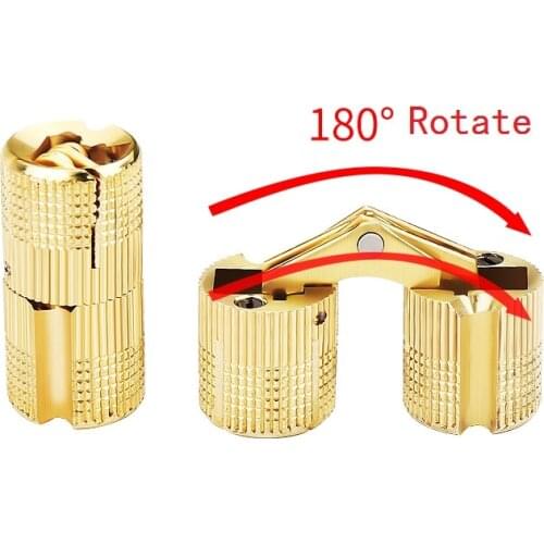 20PCS/Lot Brass Barrel Hinges Cylindrical Hidden Cabinet Concealed Invisible Brass Hinges Mount 8mm10mm12mm 14mm16mm18mm