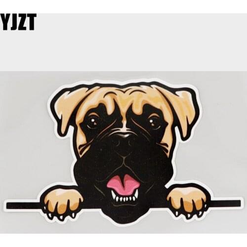YJZT 15.3CM×9.7CM Cool Boxer Peeking Dogs Decal PVC Car Sticker 11C-0379
