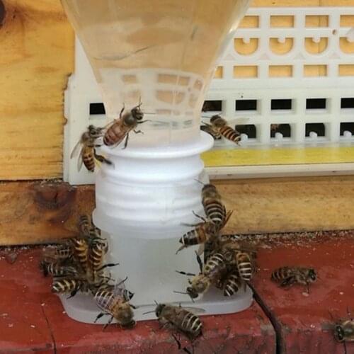 5pcs Drinking Fountain Bee Drinking Water Equipment Easy Installation Easy To Operate Bee Queen Beekeeping Tools