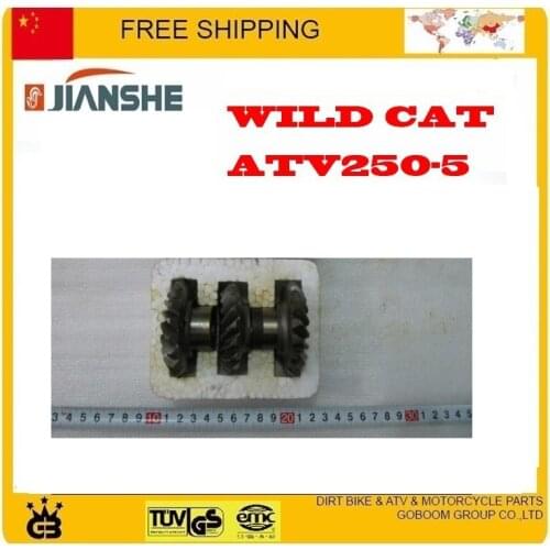 LONCIN ATV drive shaft transfer gear reverse output 250cc Quad GoKarts Engine Spare For JIANSHE BASHAN RATO KAYO