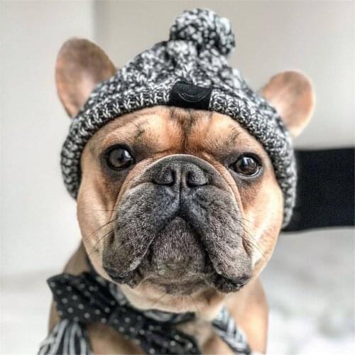 Warm Pet Dog Knitted Hat Windproof Headwear For Winter Cat Hat Puppy Small Animals Pet Products Knitted Striped Heagear