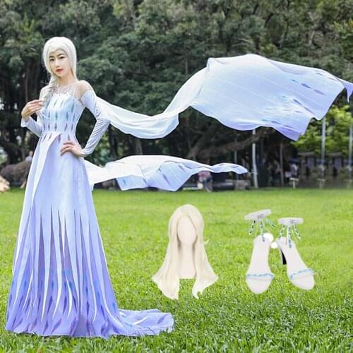 2020 new spot ice and snow princess adult dress cosplay dress wig shoes Halloween party perfect high-end dress