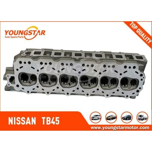 CYLINDER HEAD For NISSAN TB45 11041-VC000 Gasoline 12V