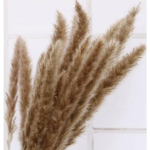 30Pcs Dried Flower Set Pampas Grass Flowers Natural Dry Fluffy Pampas Grass For Home Decoration Wedding Flower Arrangement