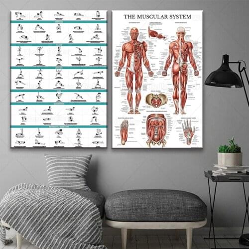 Yoga Poses and Muscular System Anatomical Poster Yoga Lovers Poster Wall Art Canvas Modern Living Room Decoration