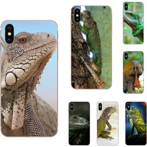 Iguana Lizard Animal Brazil Iguacu Jungle For Sony Xperia Z Z1 Z2 Z3 Z4 Z5 compact Mini M2 M4 M5 T3 E3 E5 XA XA1 XZ Premium