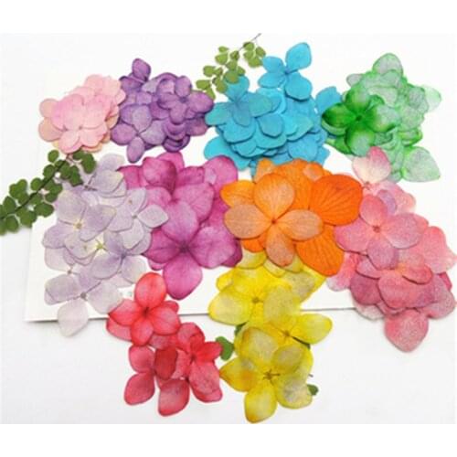 Hydrangea dried flower pressed flower embossed plant specimen Epoxy dried flower phone case Time gem Epoxy