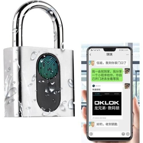Zinc Alloy Keyless Bluetooth Fingerprint Cabinet Drawer Lock Strongbox Biometrics Electric Lock Fingerprint Padlock