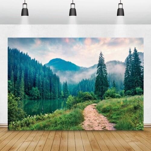 Laeacco Photography Background Mountain Lake Tree Green Grass Shrub Way Natural Scenic Photo Backdrop Photo Studio Photocall