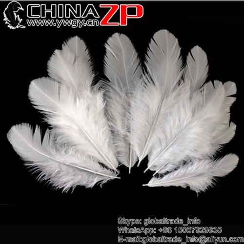 Yiwu ZP Crafts Co., Ltd 200pcs/lot 6-10cm Selected Prime Quality Natural White Hen Saddle Feathers