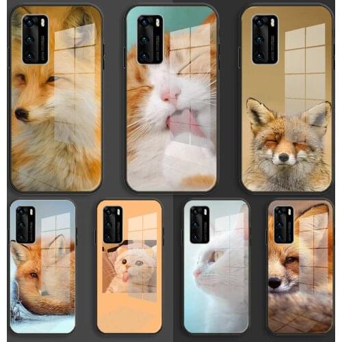 Soft Glass Case For Huawei P40 P30 P20 Pro Lite Plus p30lite p40lite E P samrt 2020 Coque TPU Cover Animal More Cute Fox cat