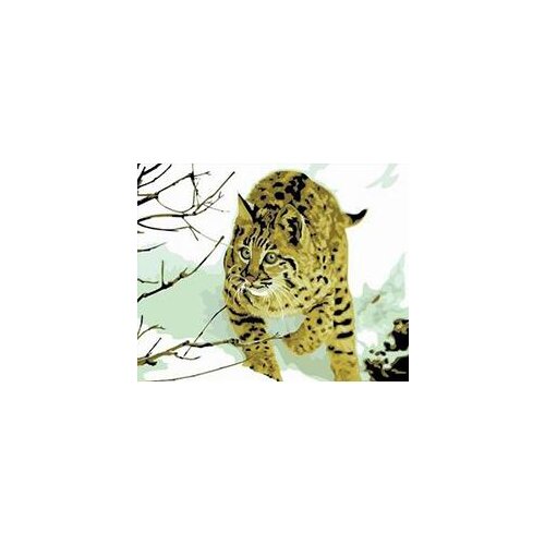 MaHuaf-W825 Tiger in the snow coloring by numbers wall art pictures for living room diy oil canvas painting cuadros paintings