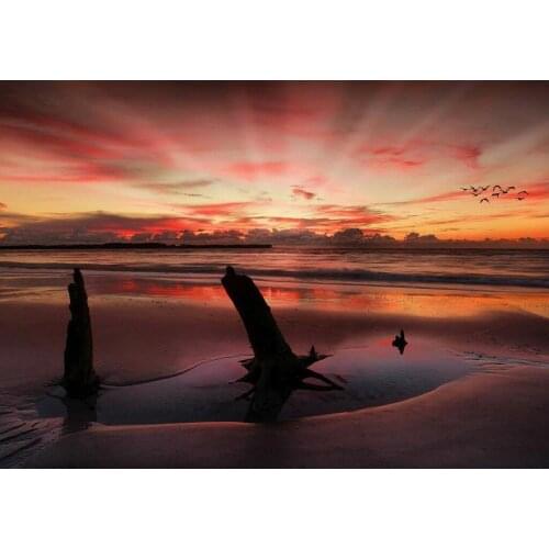 Beach Sunset Art Film Print Silk Poster Home Wall Decor 24x36inch
