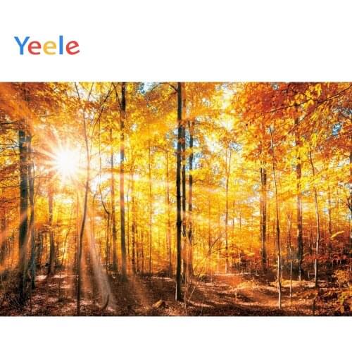 Autumn Forest Tree Fallen Leaves Nature Scenery Scene Vinyl Background Photography Backdrops Backgrounds For Photo Studio Prop