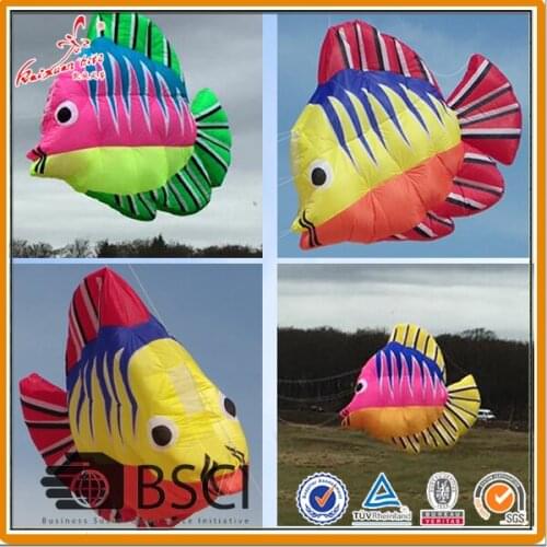 300*260cm Inflatable fish kite from kaixuan kite factory