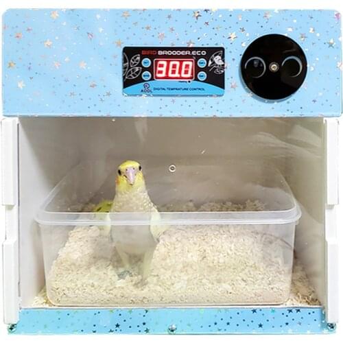 Parrot Nestling Incubator Hand-Feed Nursing Birdling First Aid Breeding Constant Temperature Control Ventilation Xuanfeng Little