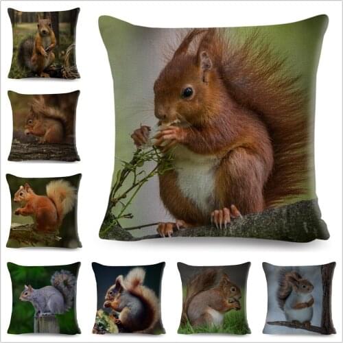 Cute Wild Squirrel Cushion Cover Pillowcase Home Decor Pet Animal Polyester Pillow case for Sofa Home Car Children Room 45x45cm