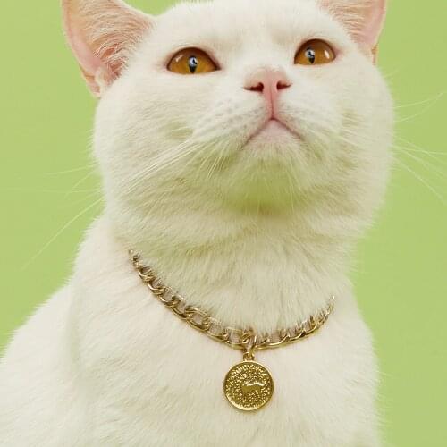 Metal Pet Collar Puppy Necklace and Paw Print Pendant Gold Chain Cuban Chain Training Dog Necklace Necklace Durable Dog Mental C