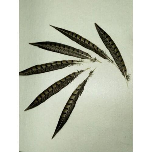 Wholesale 50 / lot 20-25cm Natural pheasant feather, DIY jewelry decoration