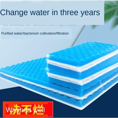 West Meng Home Aquariums