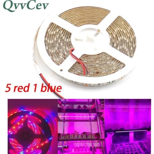 LED Plant Grow strip Light 5M DC 12V 5 red 1 blue 5050 LED Strip lamp for Greenhouse Plant Growing Aquarium Hydroponics system