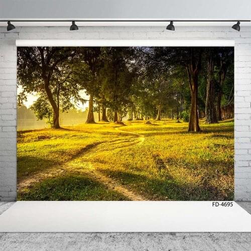 Photography Backdrop Trees Grassland Path Computer Printed Scenery Background Photo Studio for Baby Children Portrait Photoshoot