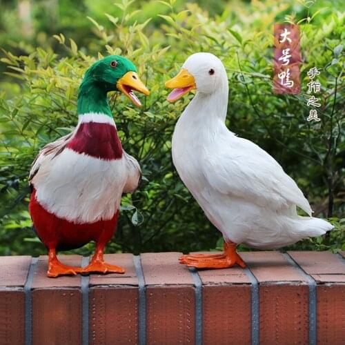 Simulation animal specimen duck pastoral supermarket ornaments decoration big duck water duck display window props