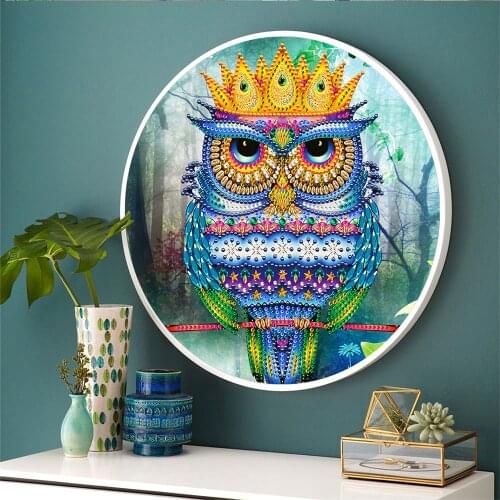 HUACAN Animal Owl Diamond Painting Special Shaped 5d Diamond Embroidery With Frame Art Kits Decorations Home Gift