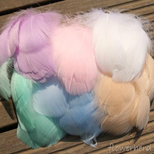 100pcs DIY Goose Feathers Fluffy Wedding Dress Dreamcatcher Ball Filling Jewelry Decoration Caft Accessories Dyed Colorful