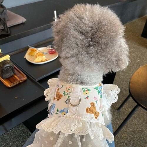 INS Wind Korean Pet Dog Bichon Small Dog Breathable Mesh Chest Strap Maltese Bichon Outing Leash