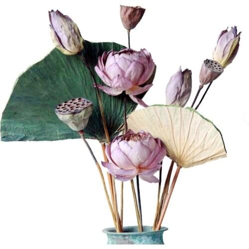60cm/1Pcs Lotus Natural DIY Dried Flowers For Photo Props Wedding Home Party Office Decorative Dried Plants Arrangement