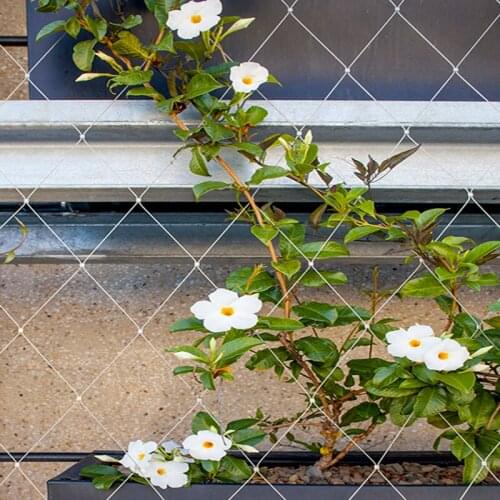 Plant Climbing green wall mesh, stainless steel wire rope mesh for green wall/ garden fence