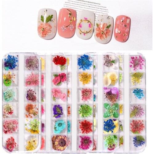 1 Box Real Dried Ammi Majus Flower Dry Plants for Epoxy Resin Pendant Necklace Jewelry Making Craft DIY Accessories