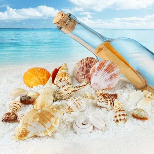 Multi-Colored 200g Conch Shells Small Stone Craft Fish Tank Decoration Aquarium Landscape Fish Tank Holiday Party Decorations